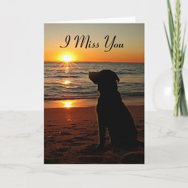 Cartão Sunset Dog on Beach - Miss You Card (Frente)