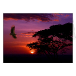 Cartão Sunset em Serengeti, Tanzânia