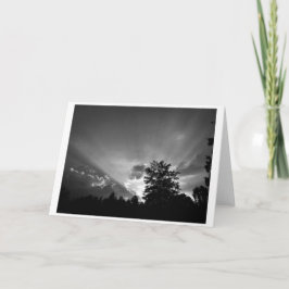 Cartão Sunset / Noir, placa