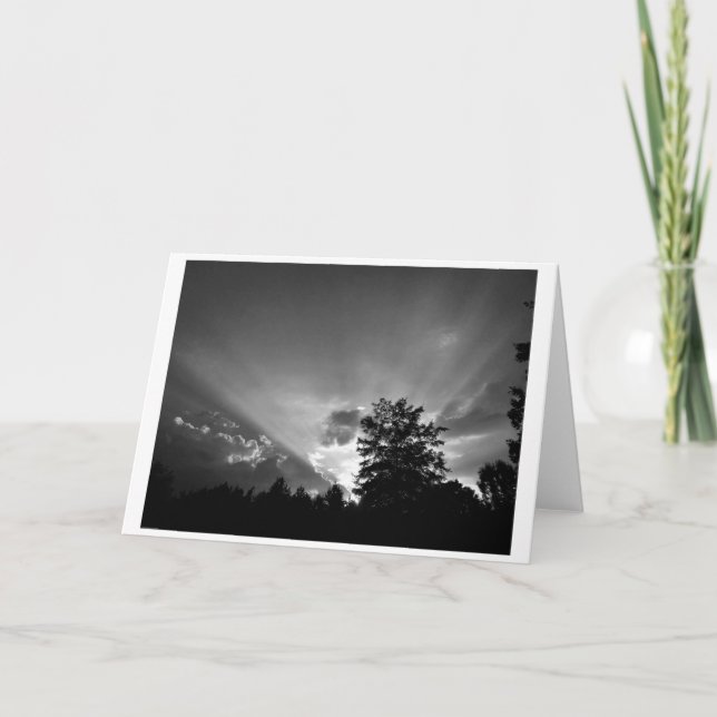 Cartão Sunset / Noir, placa (Frente)