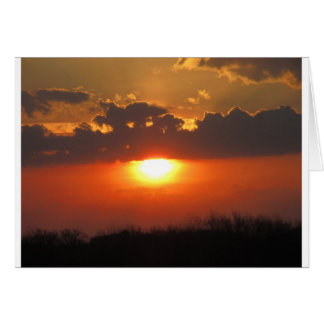 Cartão Sunset of Life