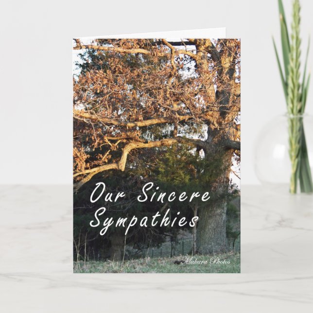 Cartão Sunset on the tree sympathy card (Frente)