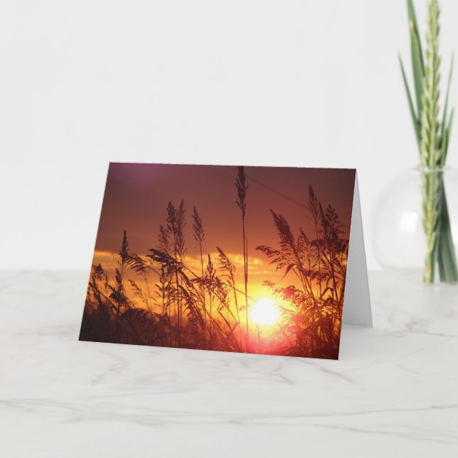 Cartão Sunset through Rye Field Blank Note Card (Frente)