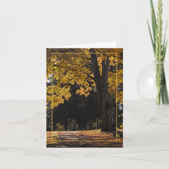 Cartão Sunset Walk (Frente)