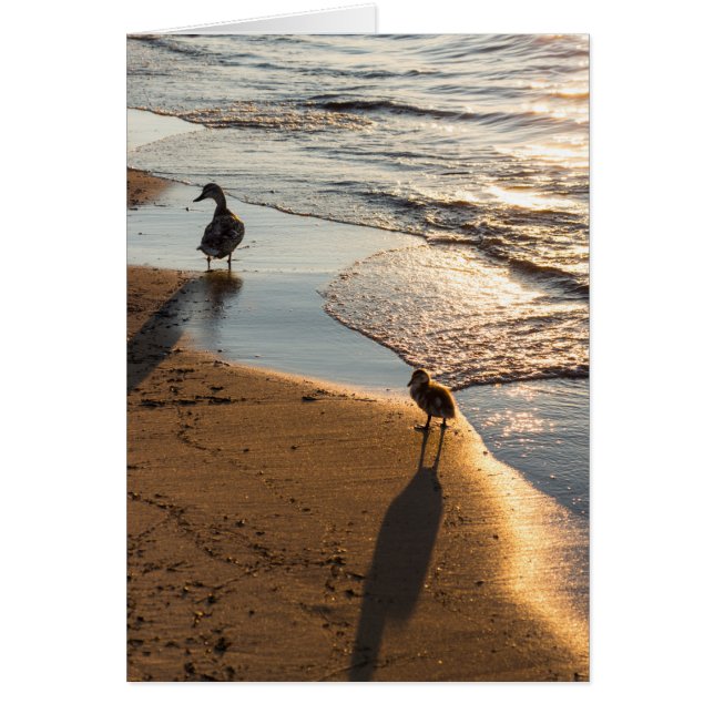 Cartão Sunset Walk Com Mamãe (Frente)