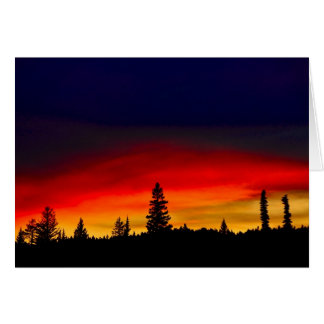 Cartão Sunset Yellowstone