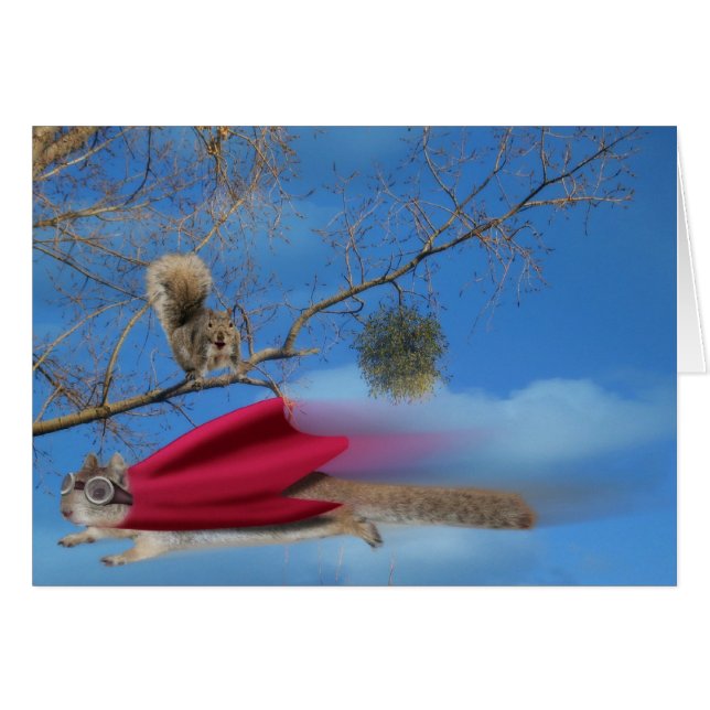 Cartão Super esquilo voador (Frente Horizontal)