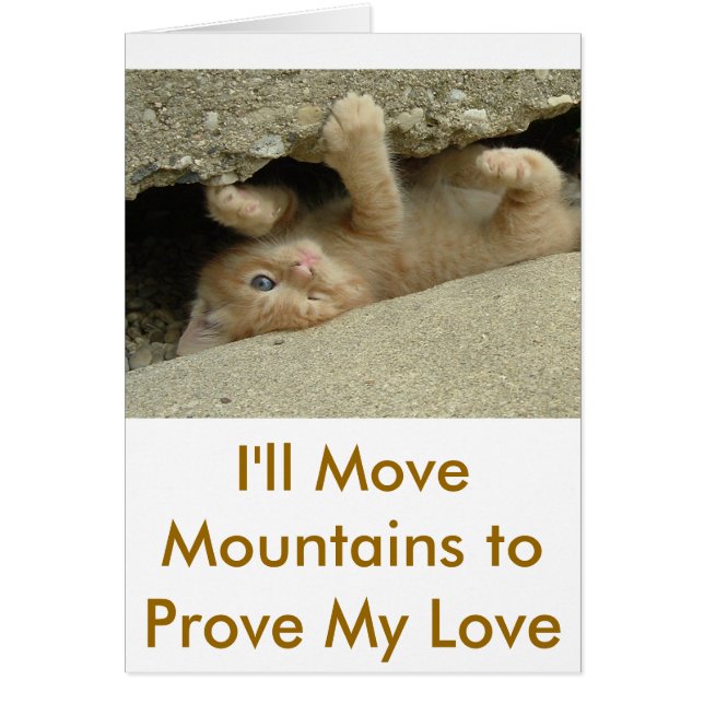 Cartão Super Hero Kitty Cat (Frente)