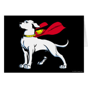 Cartão Superdog Krypto
