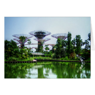 Cartão Supertrees e lago da libélula