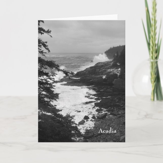 Cartão Surf Notecard do Acadia - 8 (Frente)
