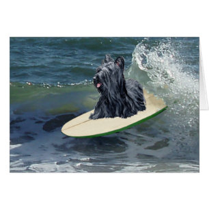Cartão Surfando Skye Terrier