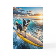Surfing Border Collie