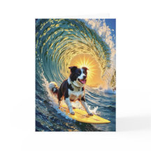 Surfing Border Collie
