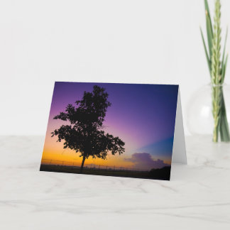 Cartão Surise at Bowman Field