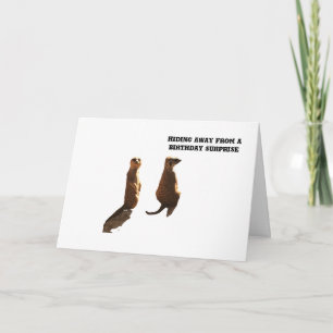 Cartão Surpresa de aniversário dos Meerkats, carta