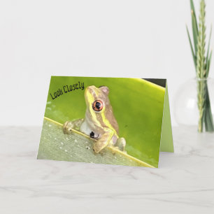 Cartão Surprise! Tree Frog on Pineapple Plant