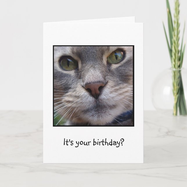 Cartão Surprized Cat, It's your birthday? (Frente)