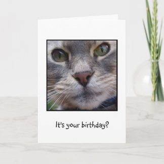 Cartão Surprized Cat, It's your birthday?