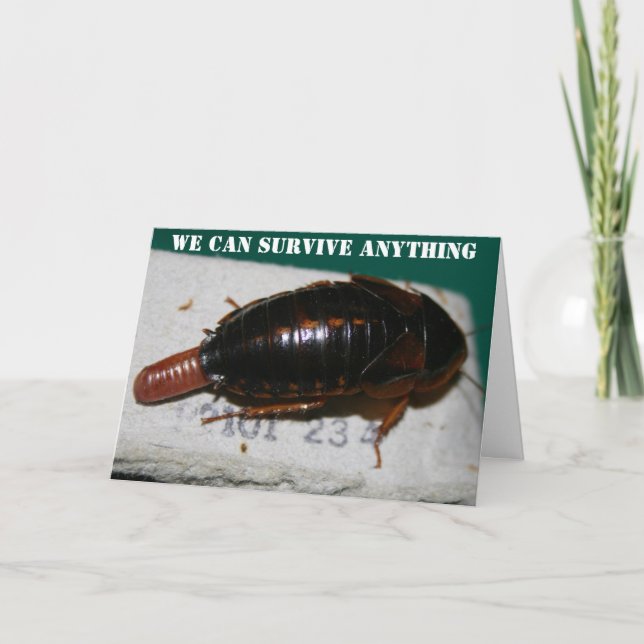 Cartão Survive Anything Anniversary Cockroaches (Frente)