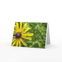 Susan de olhos negros