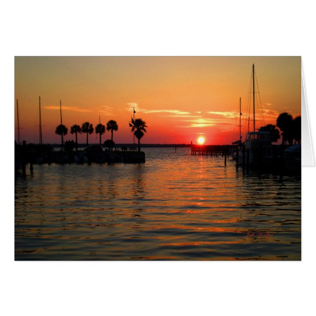 Cartão "Suspendendo Tempo" Dunedin Marina (Frente Horizontal)