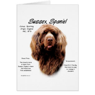 Cartão Sussex Spaniel History Design