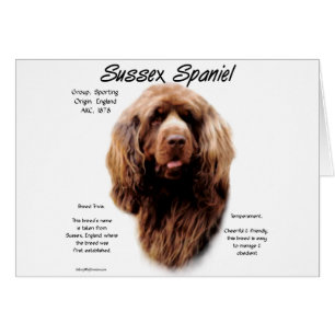 Cartão Sussex Spaniel History Design