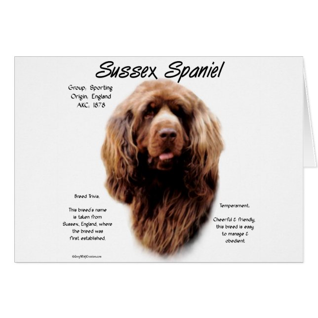 Cartão Sussex Spaniel History Design (Frente Horizontal)