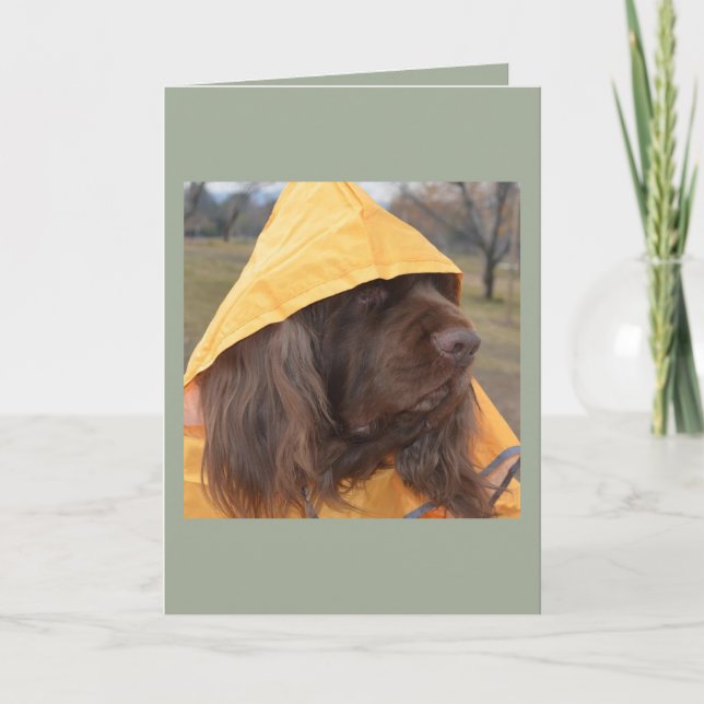 Cartão Sussex Spaniel waiting for the rain (Frente)