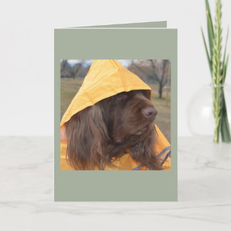 Cartão Sussex Spaniel waiting for the rain
