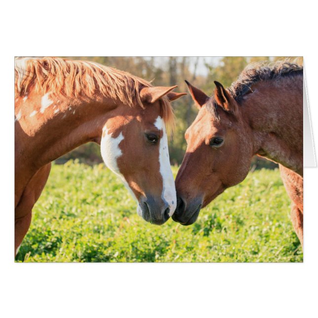 Cartão Sussurro (Frente Horizontal)