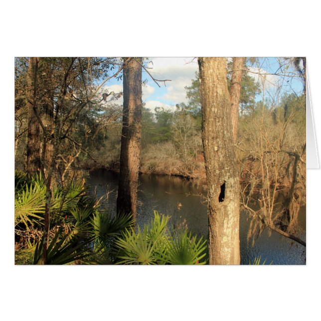 Cartão Suwanee River, Big Shoals State Park, Florida (Frente Horizontal)