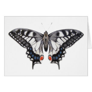 Cartão Swallowtail 2012