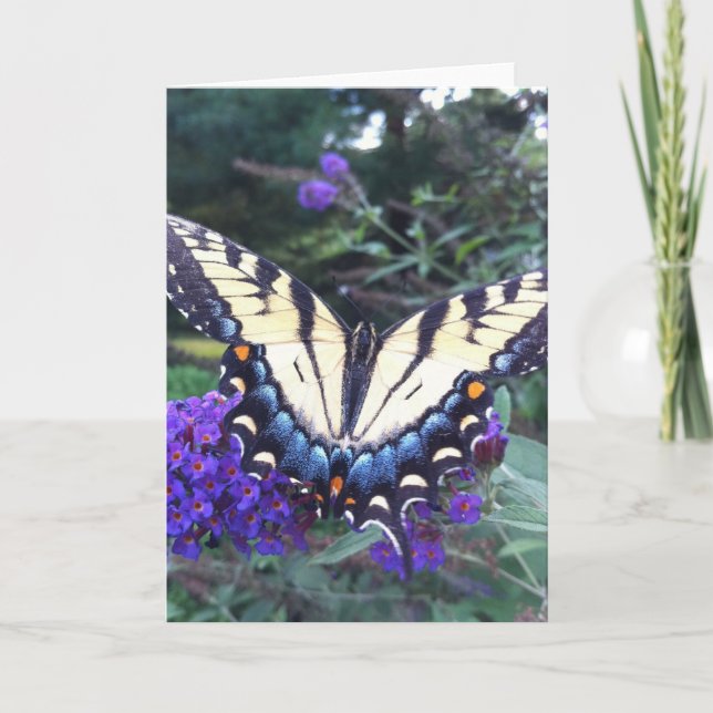 Cartão Swallowtail Butterfly Card 3 (Frente)