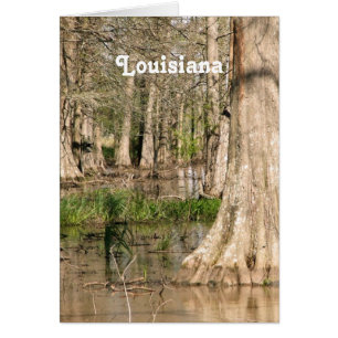 Cartão Swamp Louisiana