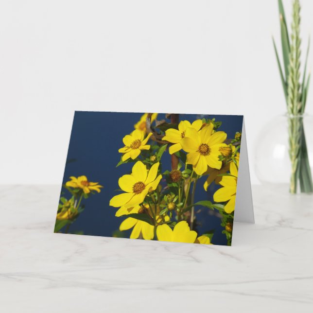 Cartão "Swamp Sunflower 1." Greeting Card (Frente)
