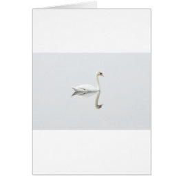 Cartão Swan