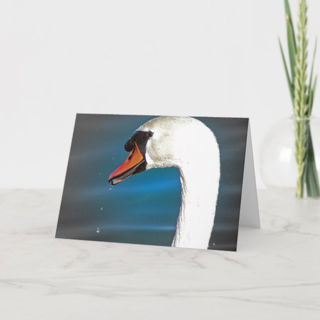 Cartão Swan (Frente)