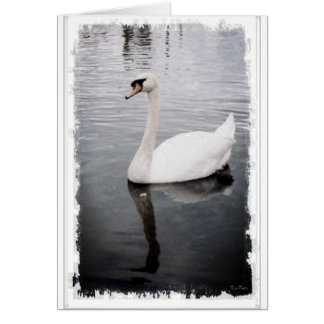 Cartão Swan