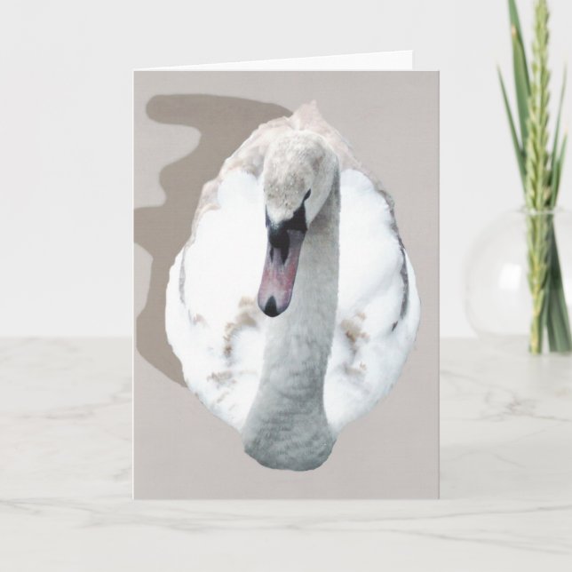 Cartão Swan. (Frente)