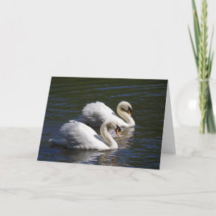 Cartão Swan Birthday Card