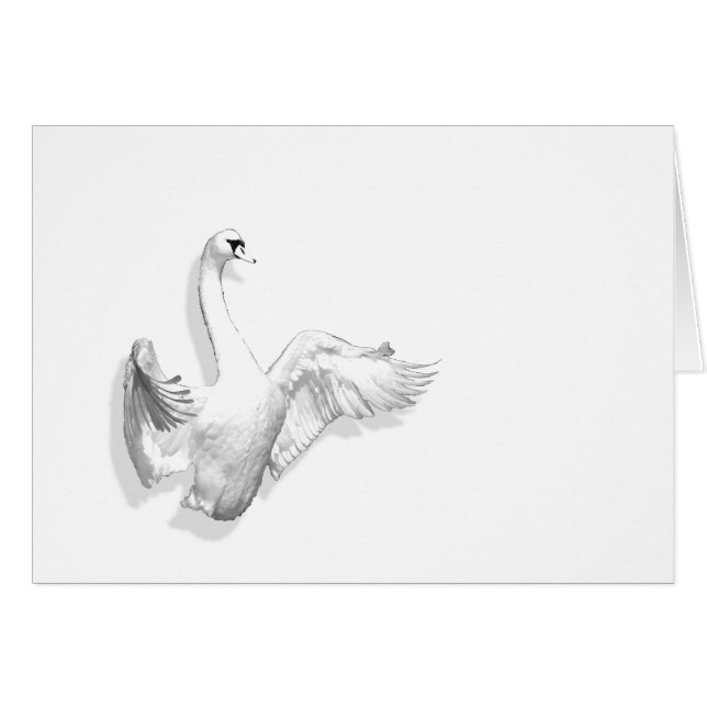 Cartão Swan branco - placa (Frente Horizontal)