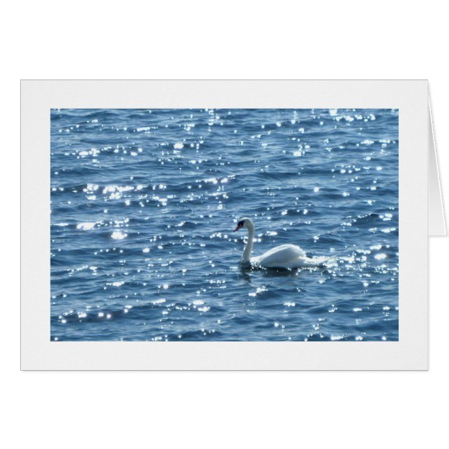 Cartão Swan Cardiff Bay, Cardiff, País de Gales (Frente Horizontal)