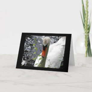 Cartão Swan com placa de saudação de vinheta