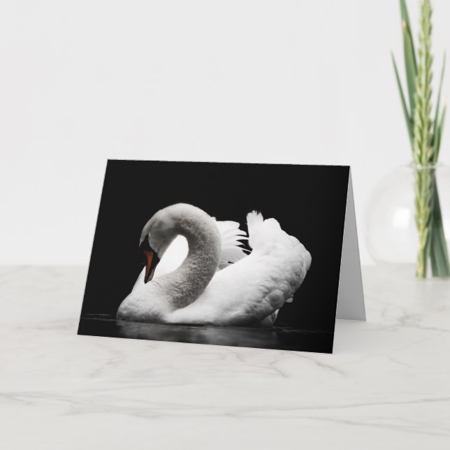 Cartão swan greeting card (Frente)