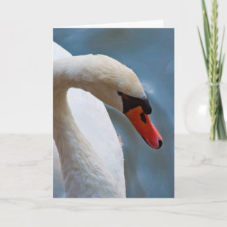 Cartão Swan Greeting Card