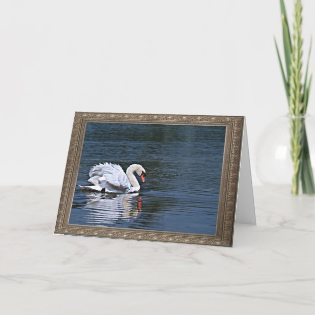 Cartão swan ruffled feathers 1  notecard (Frente)