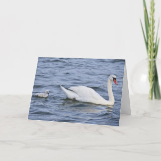 Cartão Swans Greeting Card