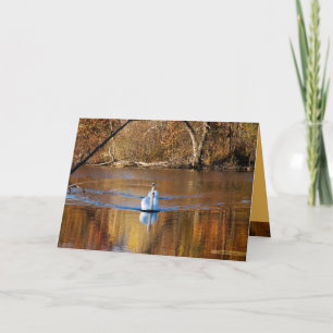 Cartão Swans in Autumn